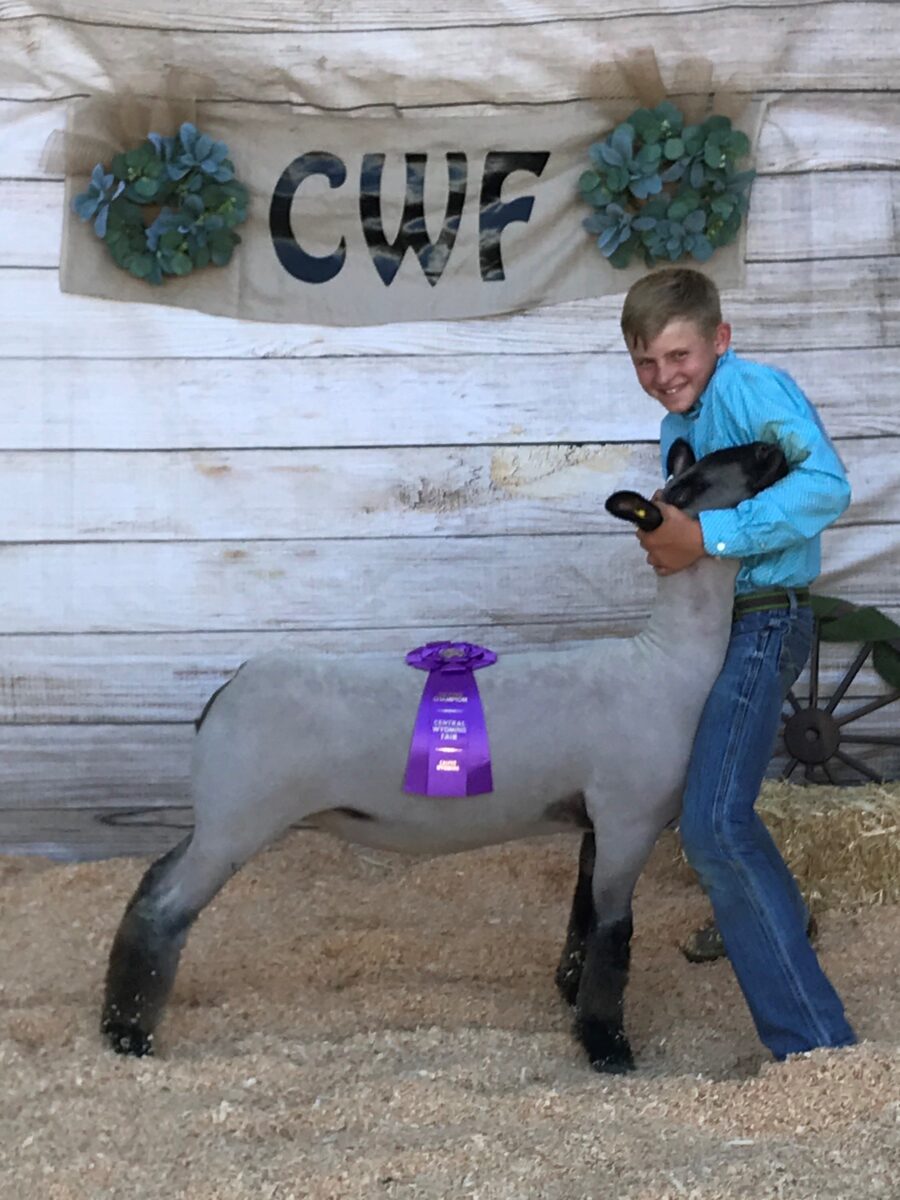 Elite Sheep – Dona Livestock Grand Champion Market Lamb